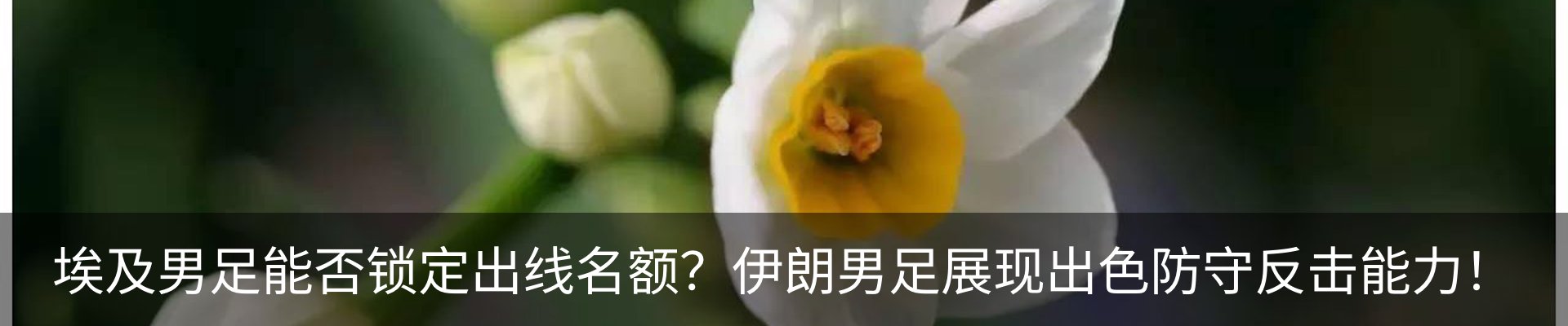 新闻中心