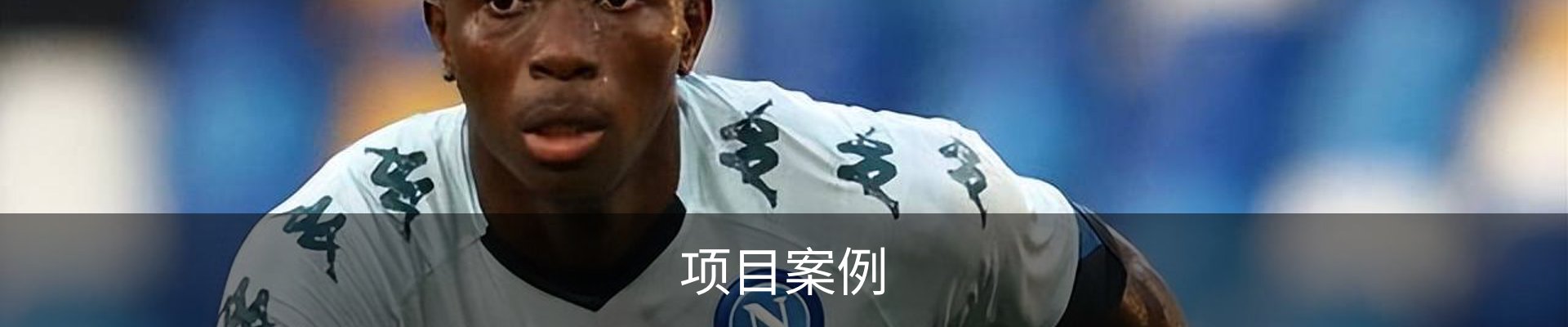 项目案例